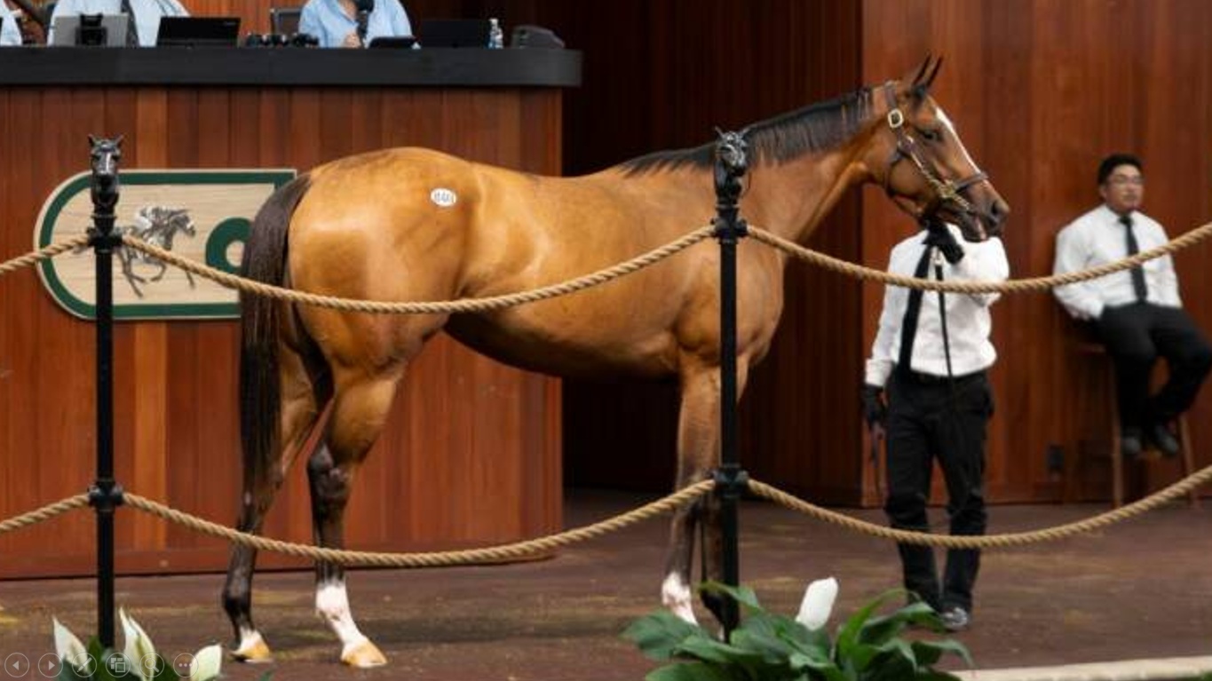 Una hija de Bolt d’Oro brilla en el marcador y lidera el tercer día de la Venta de Abril de OBS