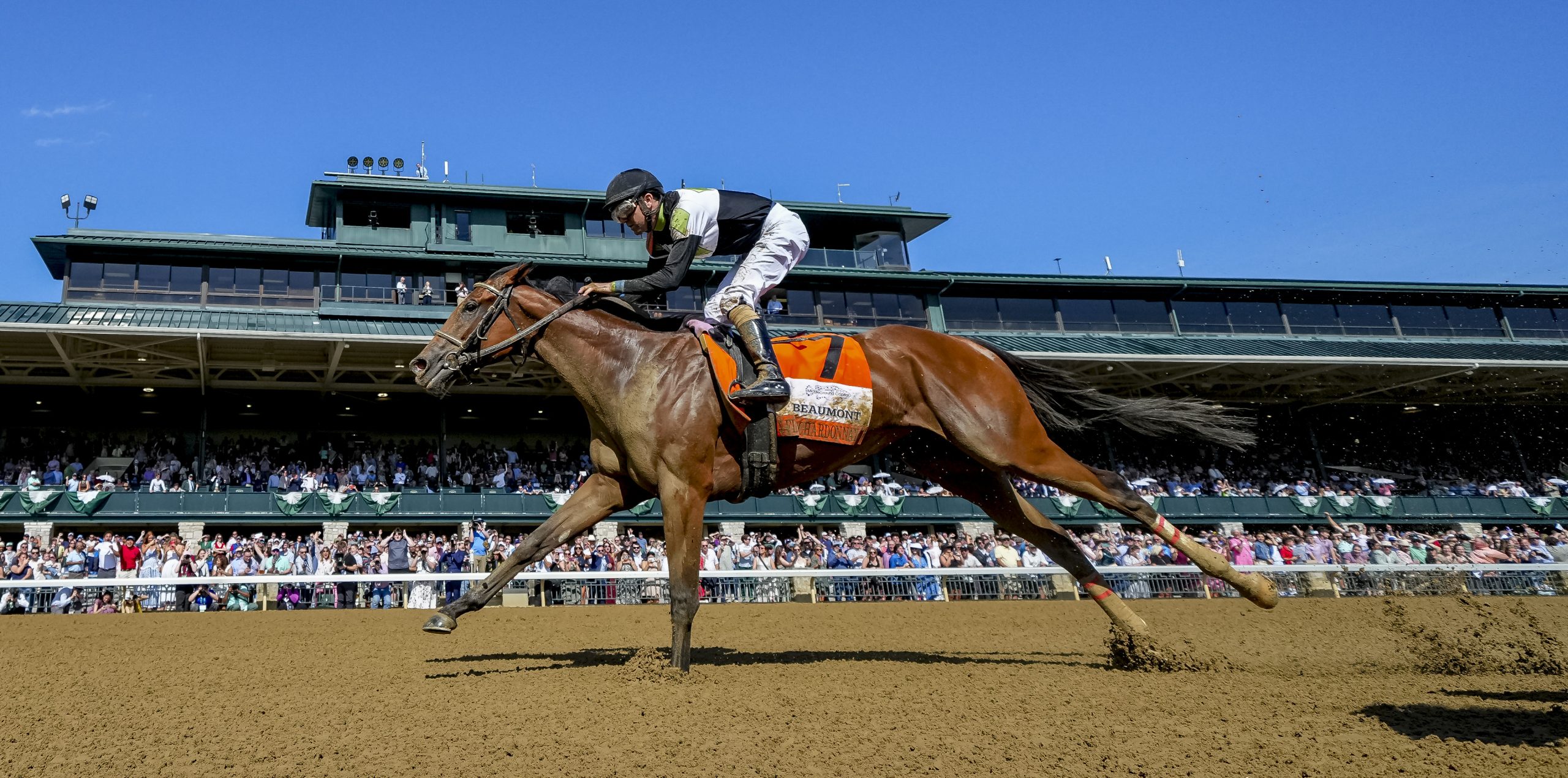 A FINE CHARDONNAY brindó en el Beaumont Stakes