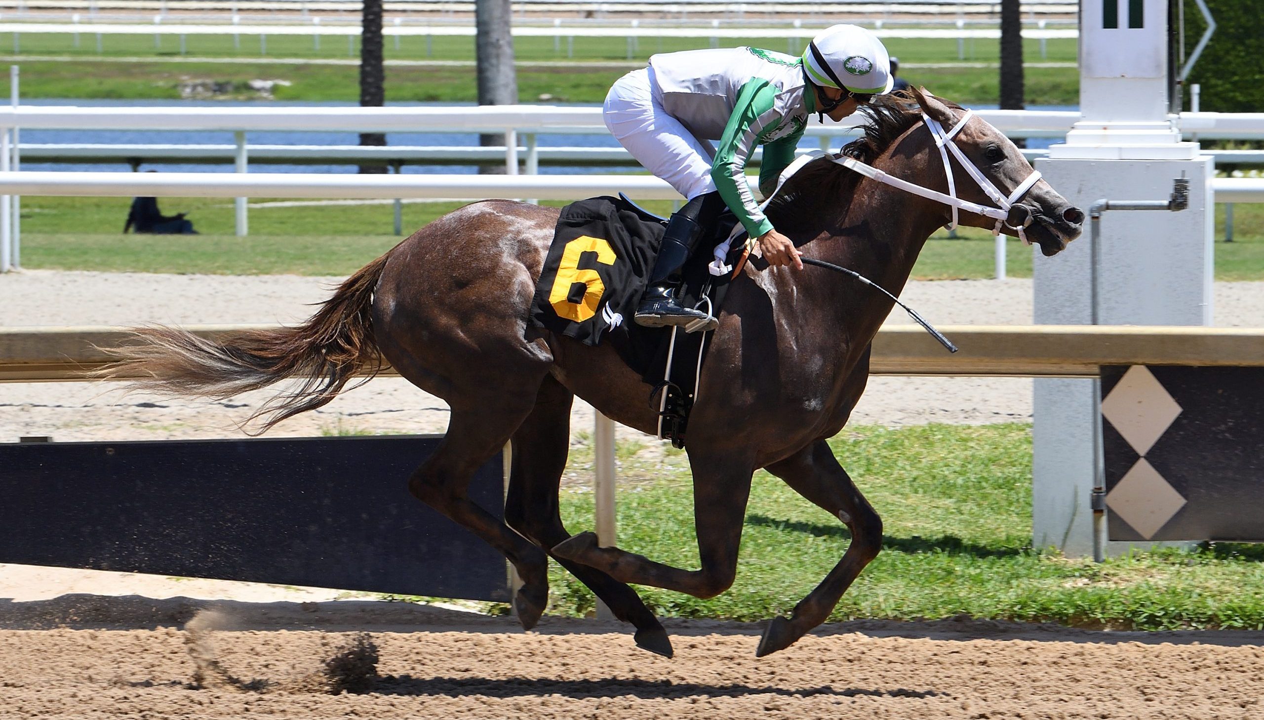 La linajuda BOOTS domina la primera carrera del año para dosañeros