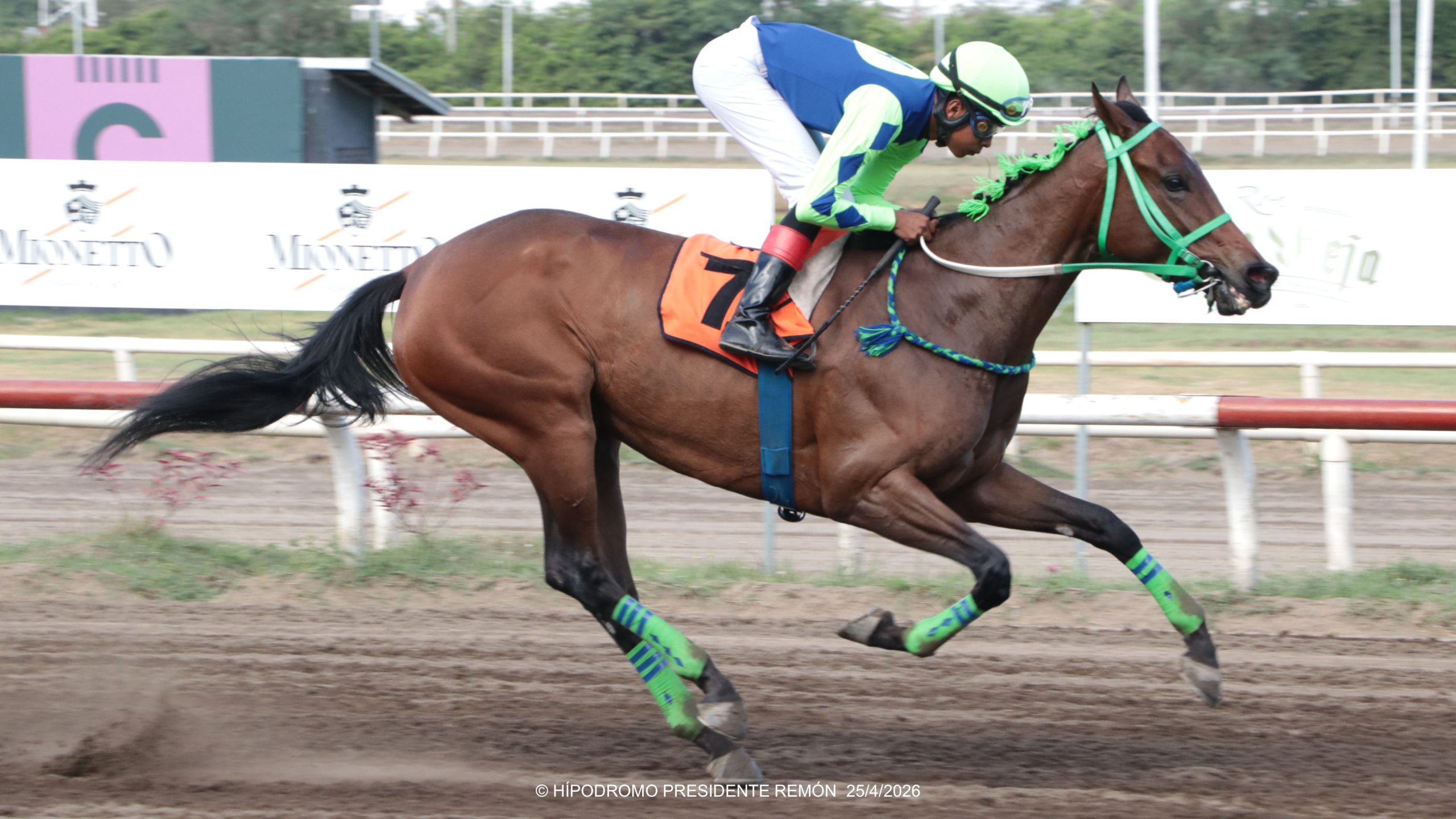 En gran forma LEARING TO FLY brilla en el Handicapde la Summer League