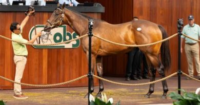 Hijo de EPICENTER el más costoso de la primera sesión de las Ventas de Dosañeros en Entrenamiento de abril en OBS
