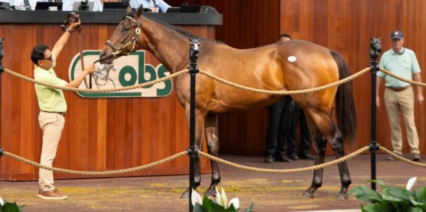Hijo de EPICENTER el más costoso de la primera sesión de las Ventas de Dosañeros en Entrenamiento de abril en OBS