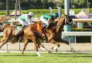 SPIRITED BOSS sorpende en el Monrovia Stakes