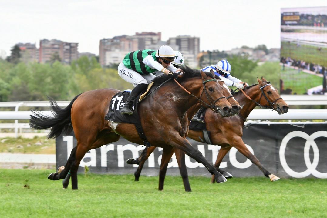 ROJIBLANCO logra imponerse en el GP Duque de Alburquerque