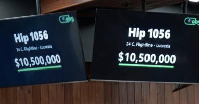 Hijo de FLIGHTLINE al Zedan Racing por $10.500.000 en Ocala