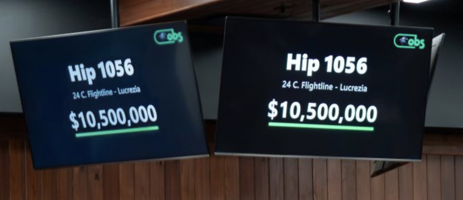 Hijo de FLIGHTLINE al Zedan Racing por $10.500.000 en Ocala