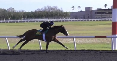 Es hora de abordar la histórica adquisición del hijo de FLIGHTLINE
