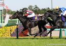 LOCVEN gana de punta a punta las 2000 Guineas japonesas