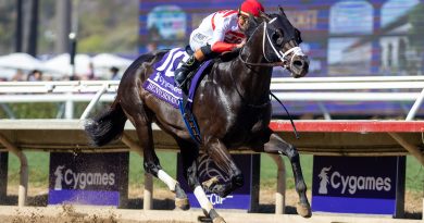 BETORNATO, Caballo del Año en Florida
