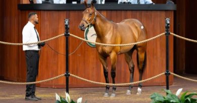 Hija de JACKIE´S WARRIOR fue el tope de la segunda jornada en OBS con $2.3 millones
