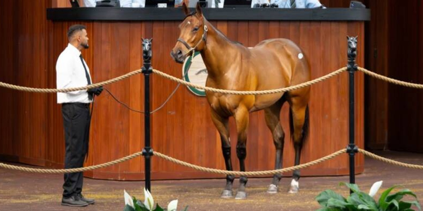 Hija de JACKIE´S WARRIOR fue el tope de la segunda jornada en OBS con $2.3 millones