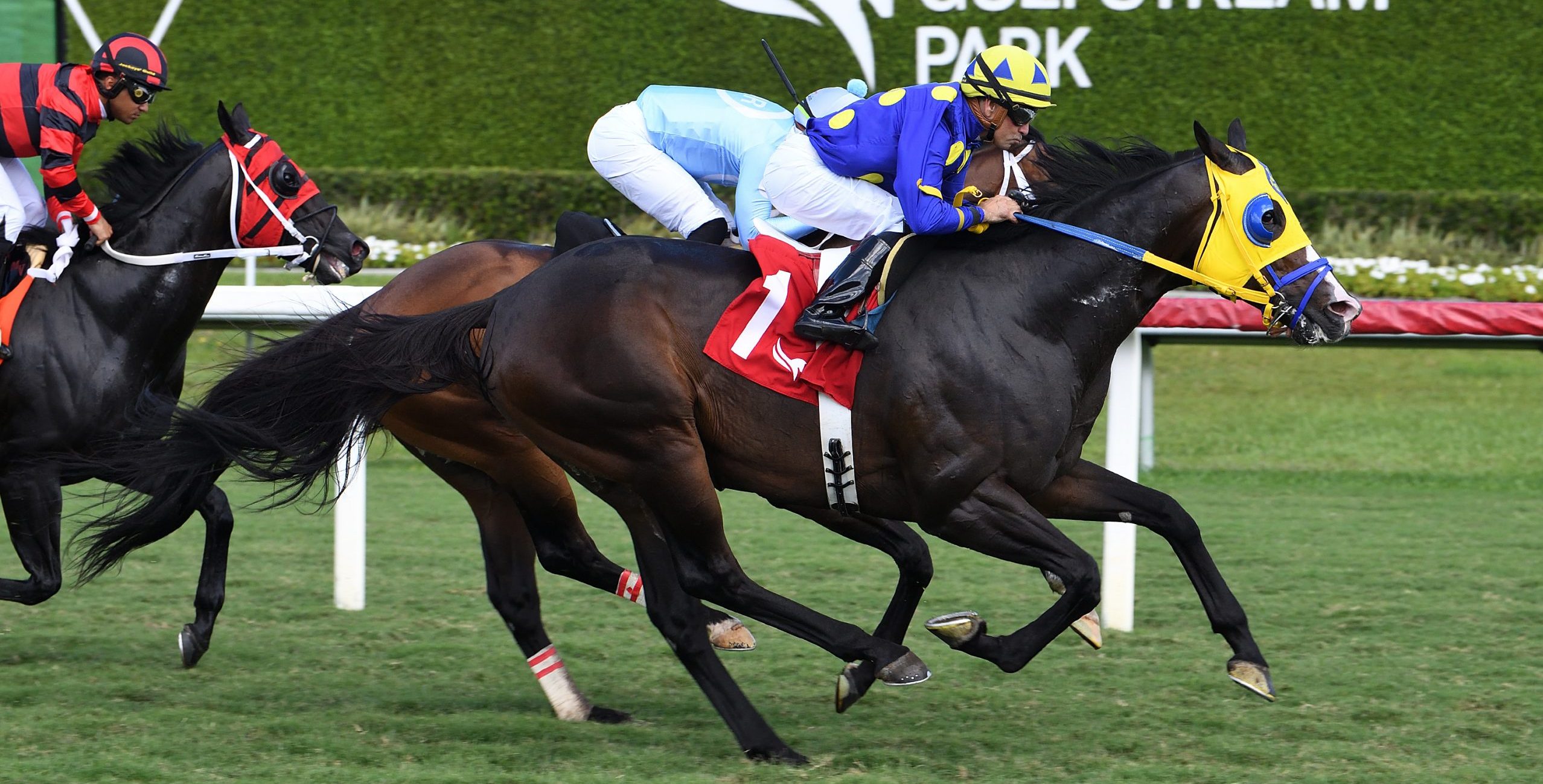 OKIRO remonta y supera a MATTINGLY en el Go Cats Go Handicap