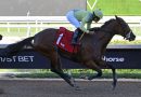 RUNAWAY DIVA devuelve a su entrenadora al Círculo de Ganadores de Gulfstream