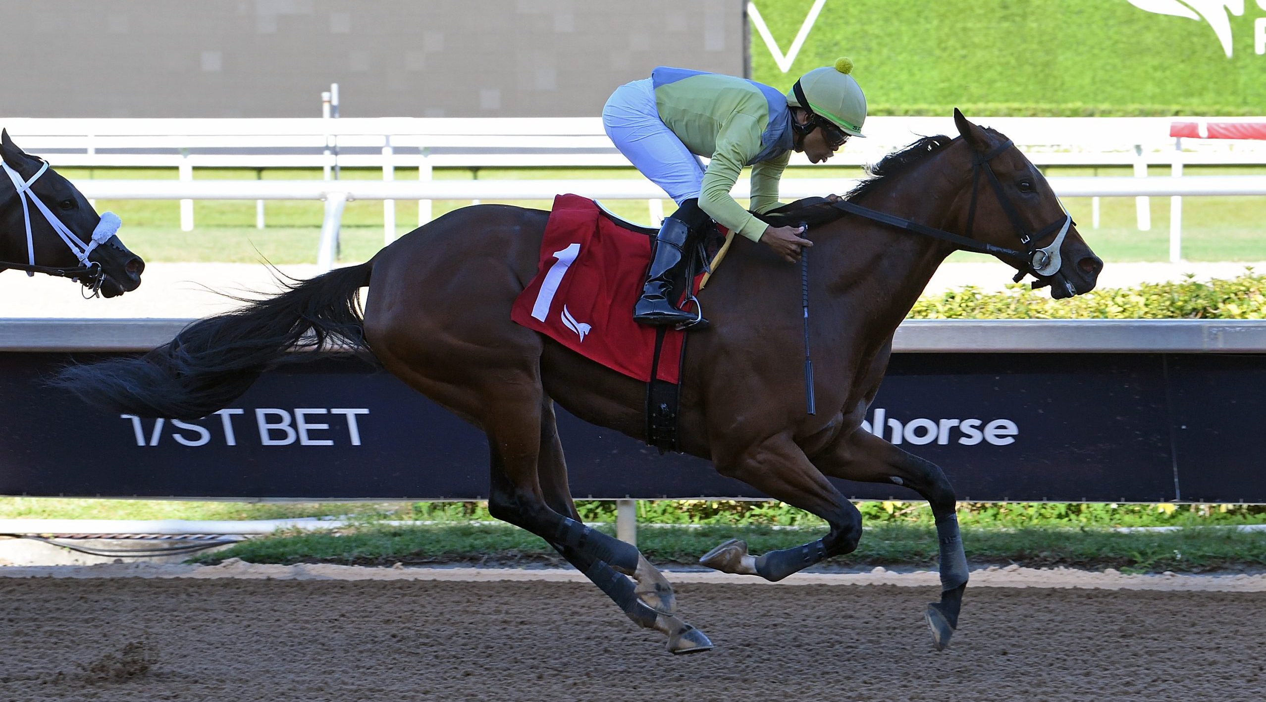 RUNAWAY DIVA devuelve a su entrenadora al Círculo de Ganadores de Gulfstream