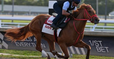 THE PUMA logra un «gran apronte» en Gulfstream