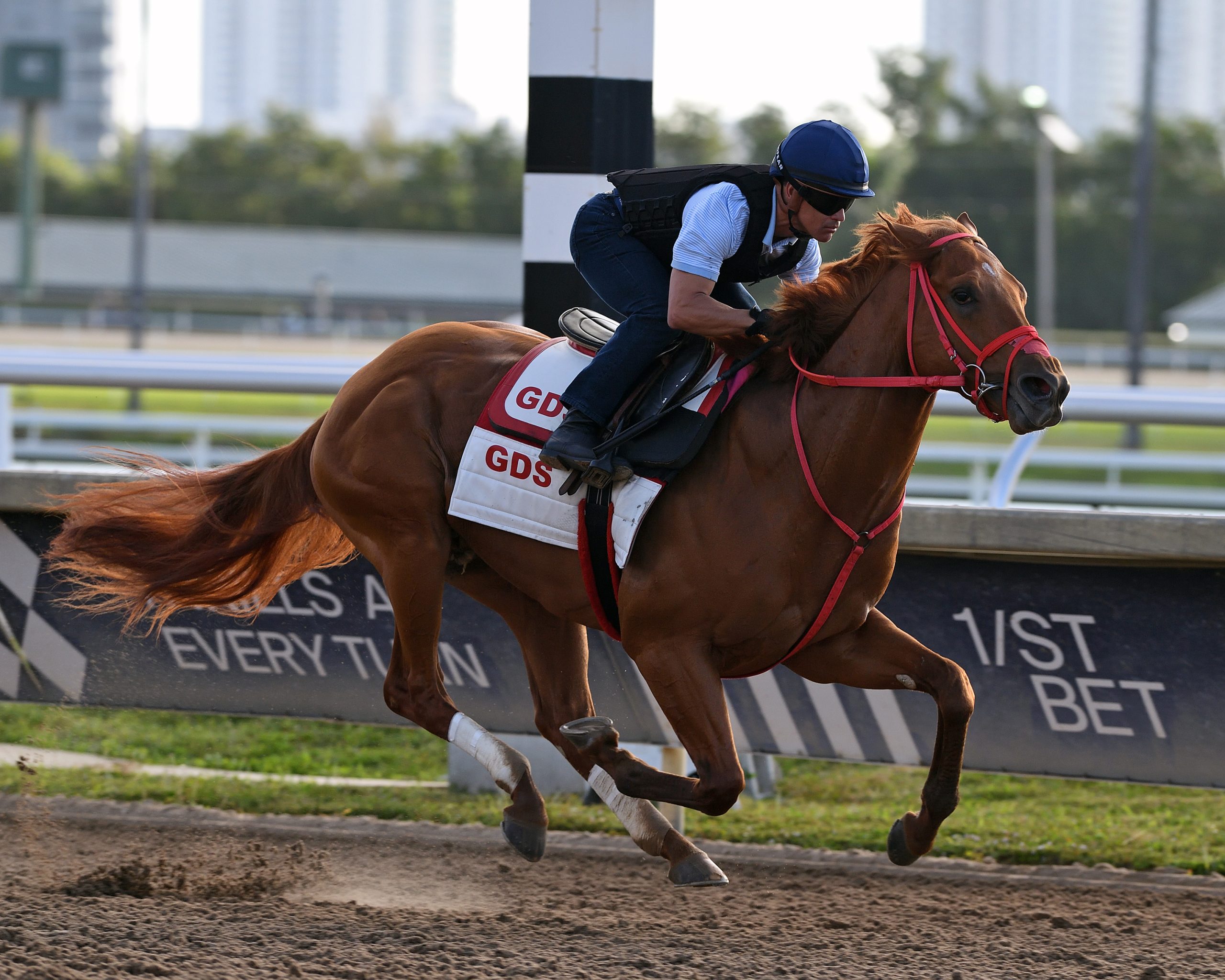 THE PUMA logra un «gran apronte» en Gulfstream