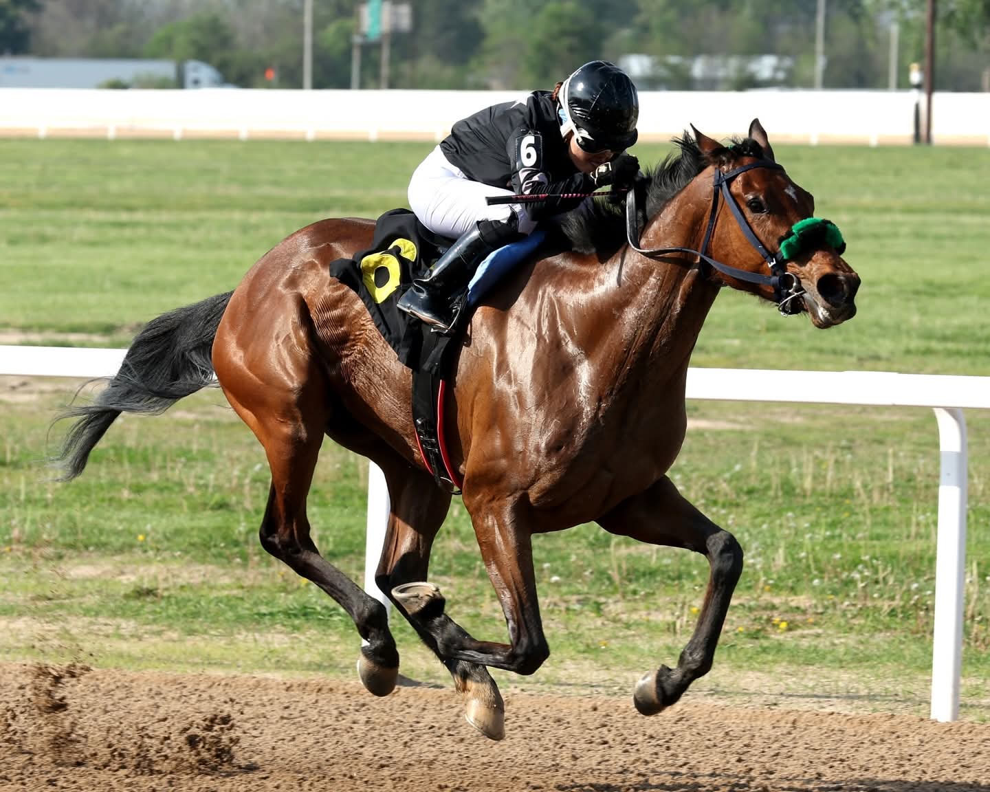 Johanis Aranguren mete de 5-4 en el día inaugural 2026 de Fairmount Park