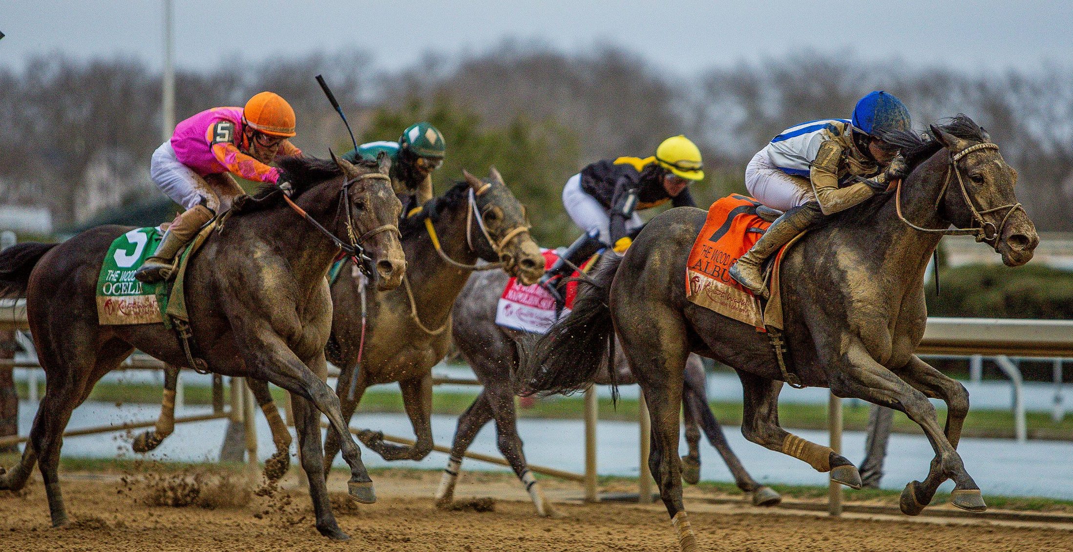 ALBUS sorprende en el Wood Memorial