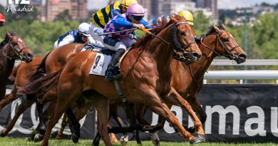 El Premio Andrés Covarrubias marca el ritmo de las carreras del Domingo en La Zarzuela