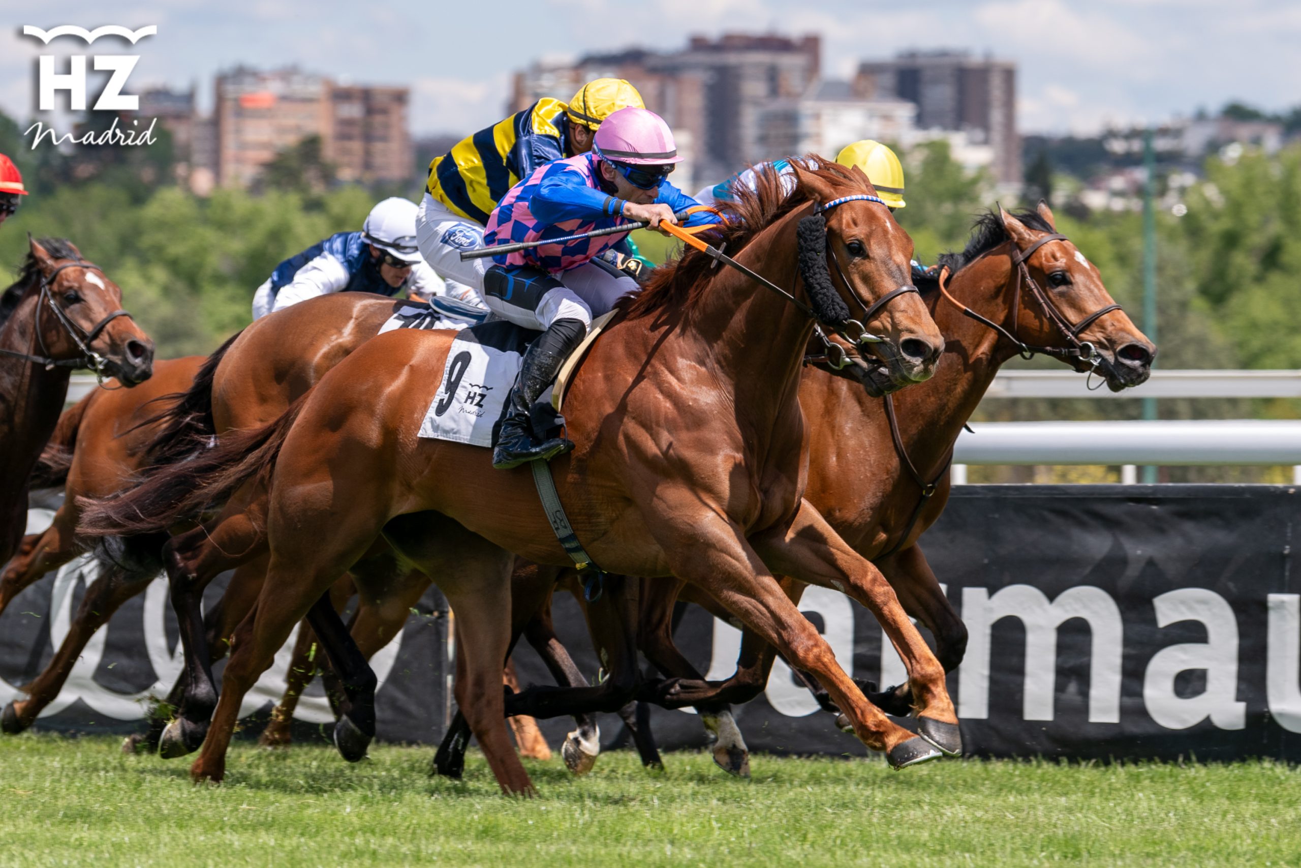 El Premio Andrés Covarrubias marca el ritmo de las carreras del Domingo en La Zarzuela