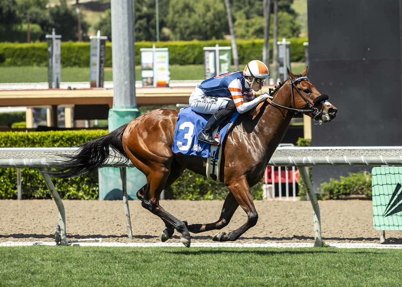 LATER THAN PLANNED supera al favorito TRACK TIGER en el John Shear Stakes