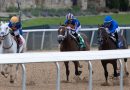 WHITE ABARRIO derrota a SOVEREIGNTY en el Oaklawn Handicap con JOURNALISM tercero