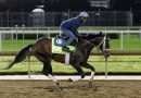 CORONA DE ORO realiza un trabajo «excelente» este viernes de cara al Preakness