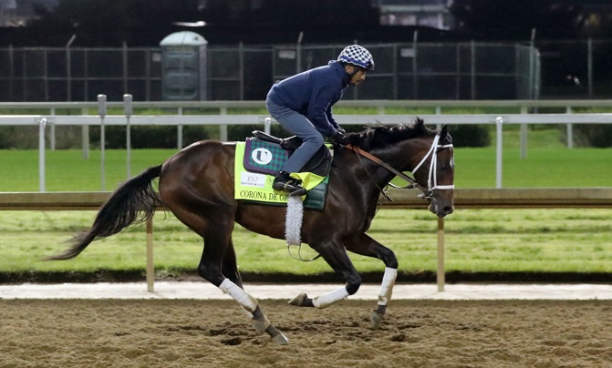 CORONA DE ORO realiza un trabajo «excelente» este viernes de cara al Preakness