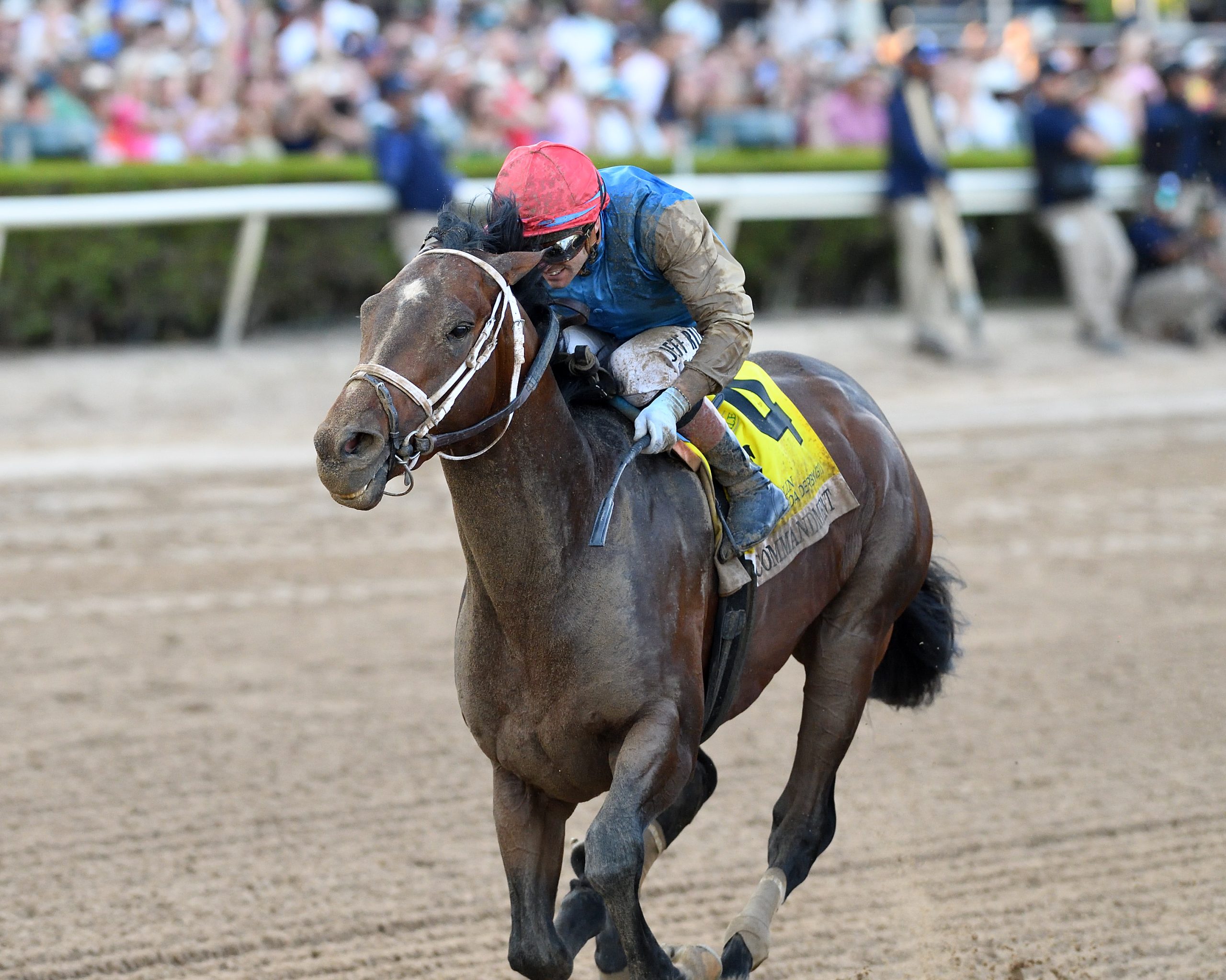 El Curlin Florida Derby (G1) estará muy bien representado en el Kentucky Derby
