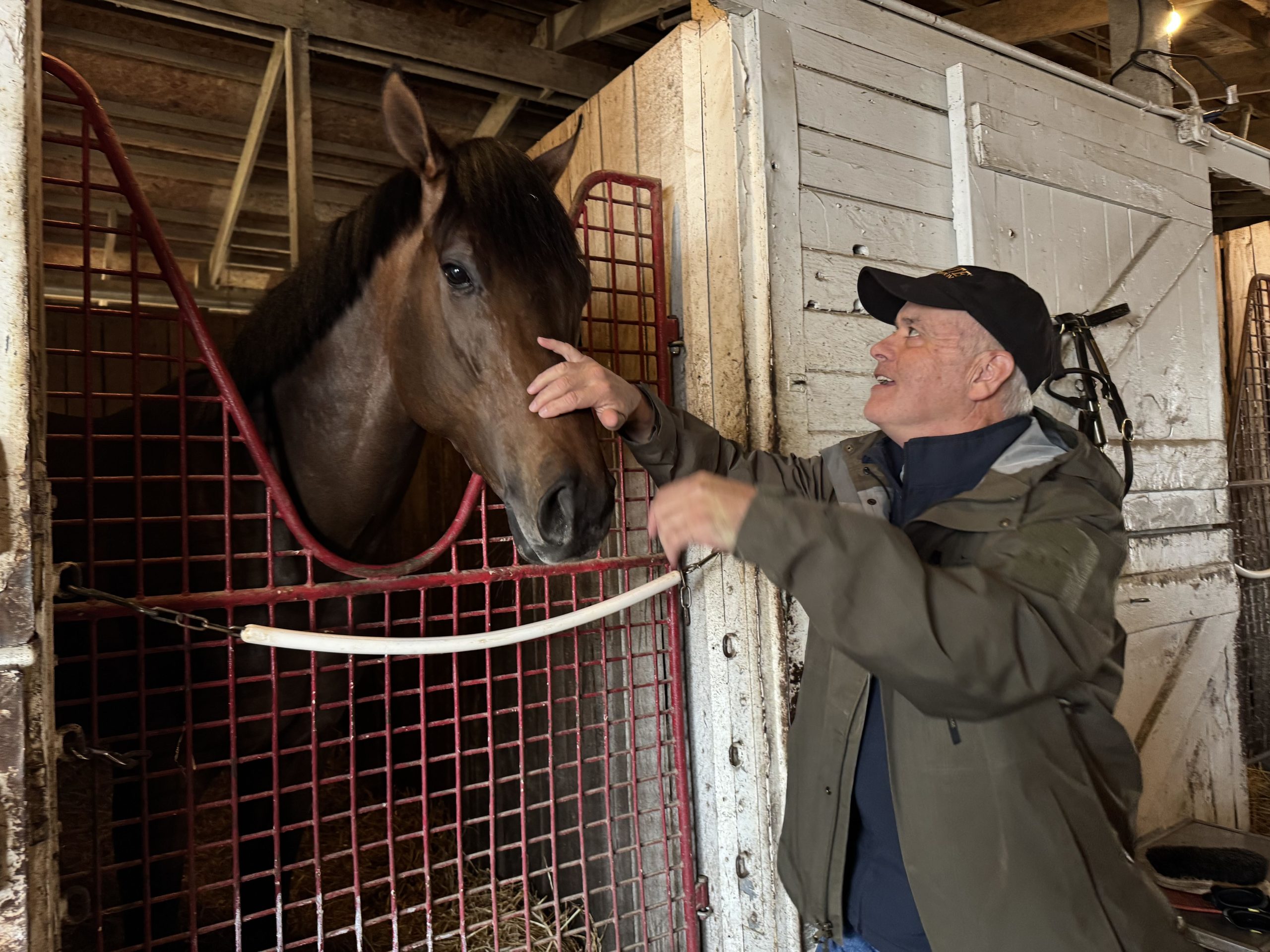 Junior Alvarado confirmado para montar a CRUPPER en el Preakness