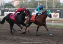 SOL ALAZÁN se lleva el Derby Cosanostra en una carrera no apta para cardiacos SOL ALAZÁN se lleva el Derby Cosanostra en una carrera no apta para cardiacos