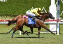 CELTIC DISPUTE logra una leve sorpresa en el Royal Palm Juvenile CELTIC DISPUTE logra una leve sorpresa en el Royal Palm Juvenile