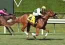 LIBERTY RINGS debuta con victoria en césped en el Royal Palm Juvenile Fillies