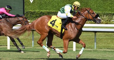 LIBERTY RINGS debuta con victoria en césped en el Royal Palm Juvenile Fillies LIBERTY RINGS debuta con victoria en césped en el Royal Palm Juvenile Fillies