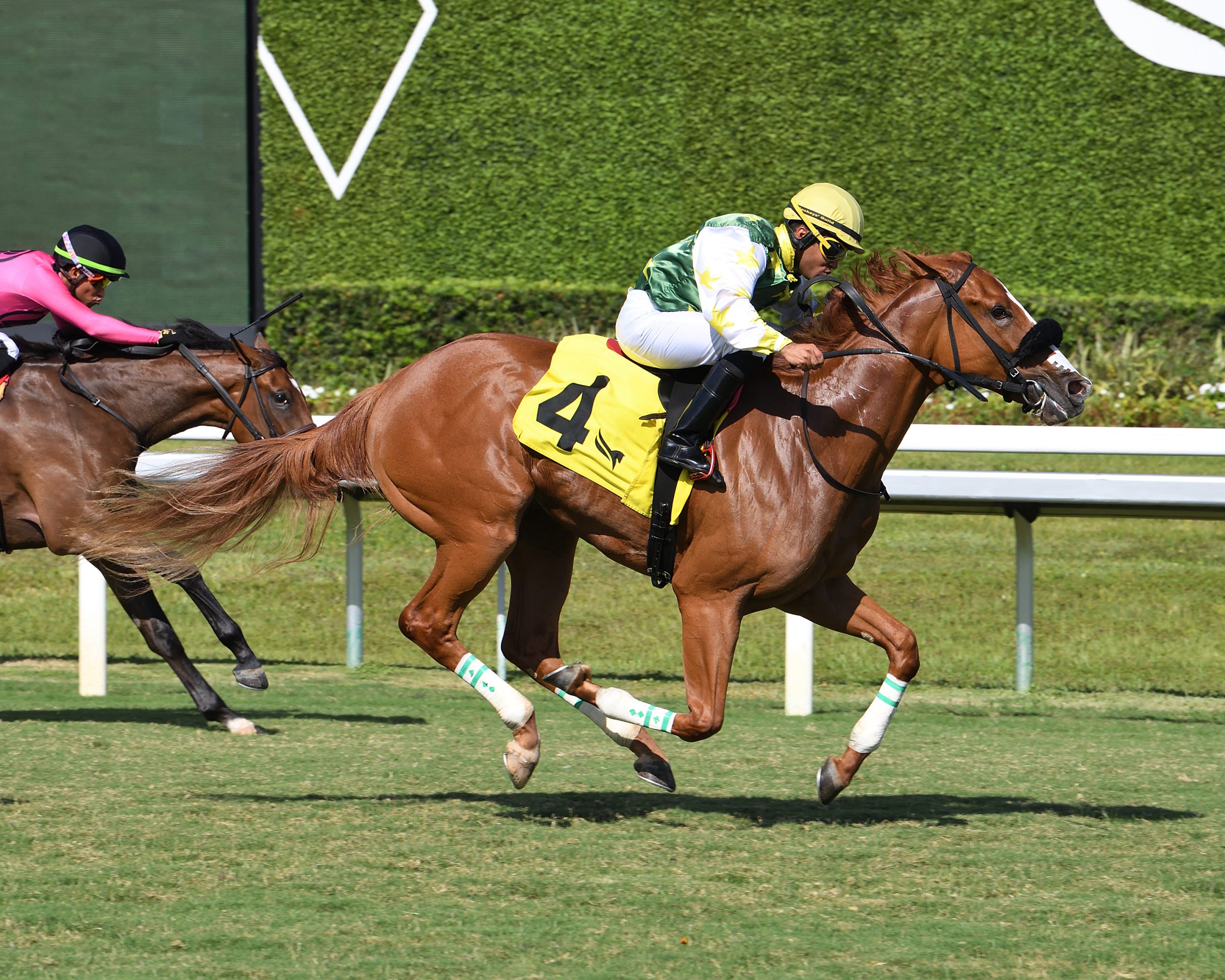 LIBERTY RINGS debuta con victoria en césped en el Royal Palm Juvenile Fillies