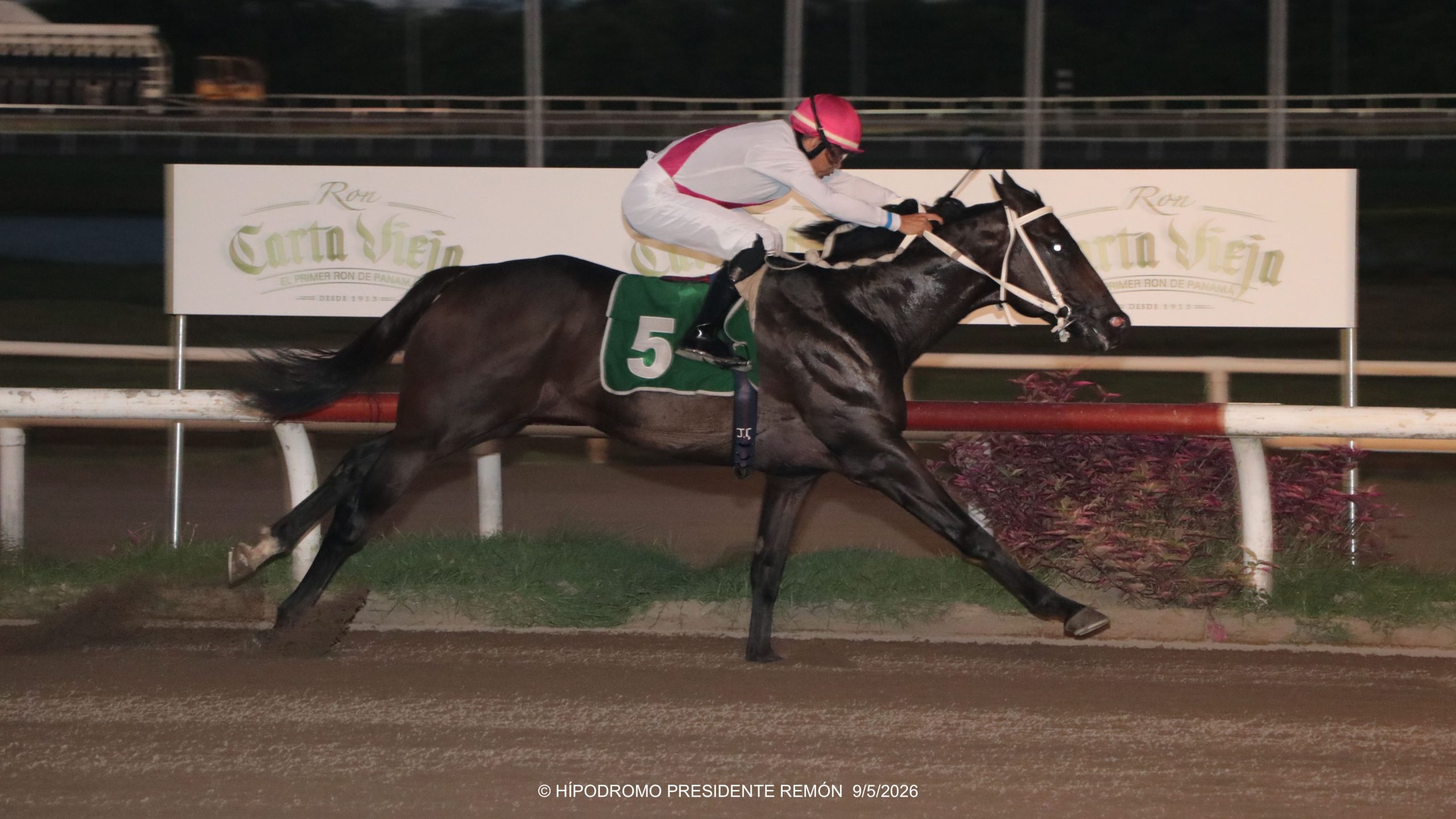 ROGER GALLET reaparece con victoria en The Ones Behind Handicap