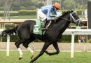 BUST OUT gana con Jaramillo el Cinema Stakes