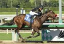 O’Neill: ROBUSTA tiene factores a su favor en el Preakness O’Neill: ROBUSTA tiene factores a su favor en el Preakness