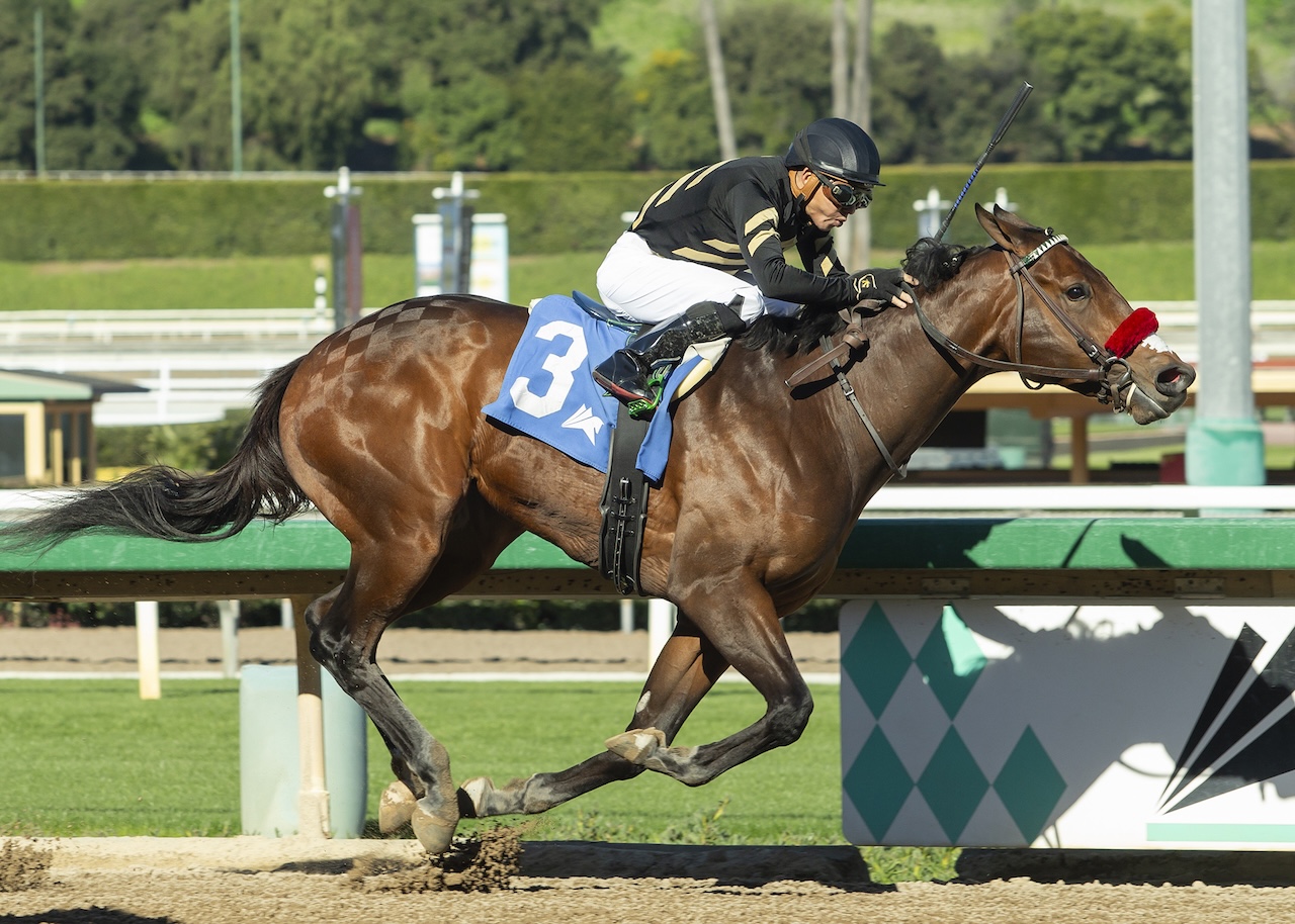 O’Neill: ROBUSTA tiene factores a su favor en el Preakness