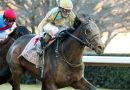 Preakness 2026: A la espera de SILENT TACTIC tras el briseo del viernes