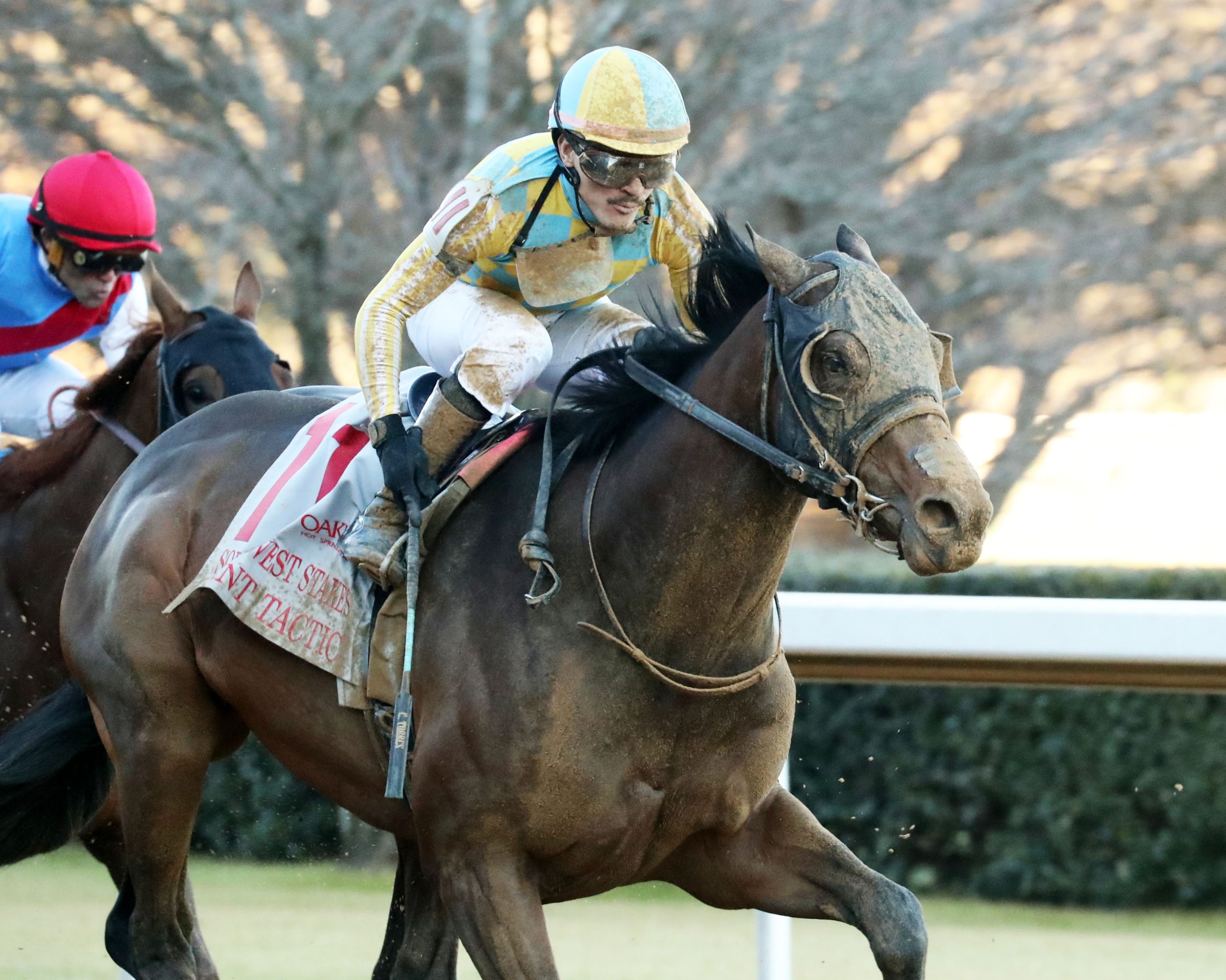 Preakness 2026: A la espera de SILENT TACTIC tras el briseo del viernes