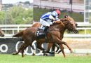 Oro y plata para la Cuadra Mediterráneo en la Poule con MAJESTAD y MAXIMUM SCEPTICISM