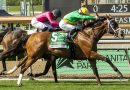 MONDEGO hace efectivo su remate en el Charles Whittingham Stakes