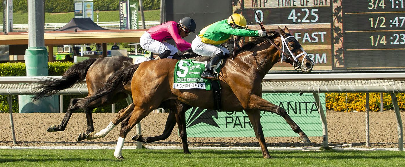 MONDEGO hace efectivo su remate en el Charles Whittingham Stakes