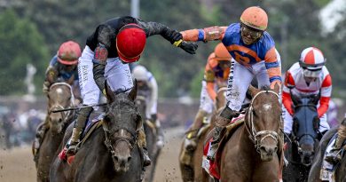 GOLDEN TEMPO pasa del Preakness con la mira en el Belmont